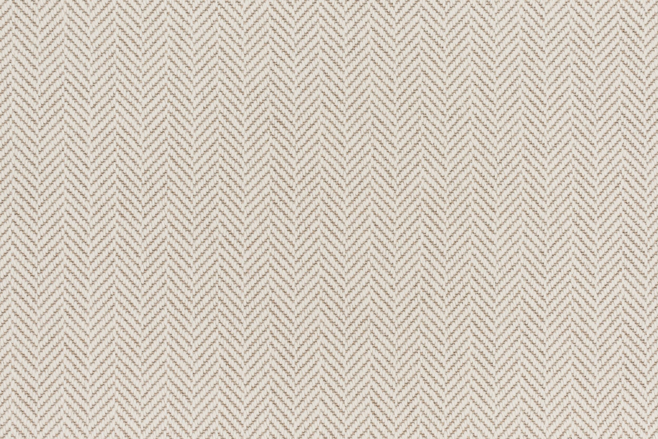 #color_2000 Cream
