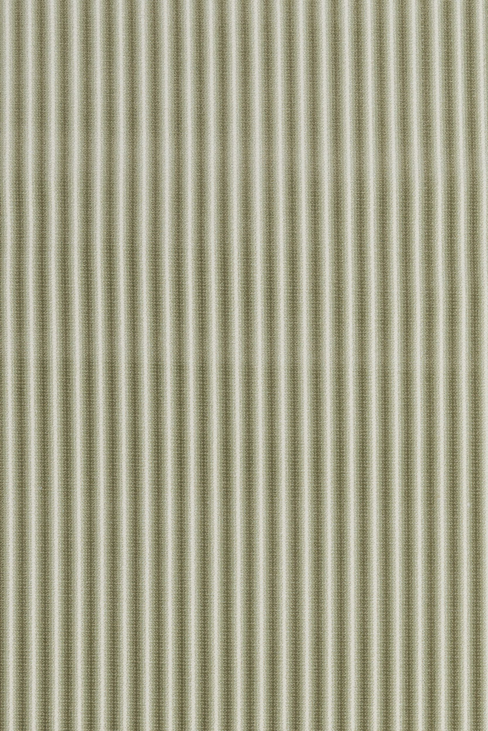 #color_7 Fern