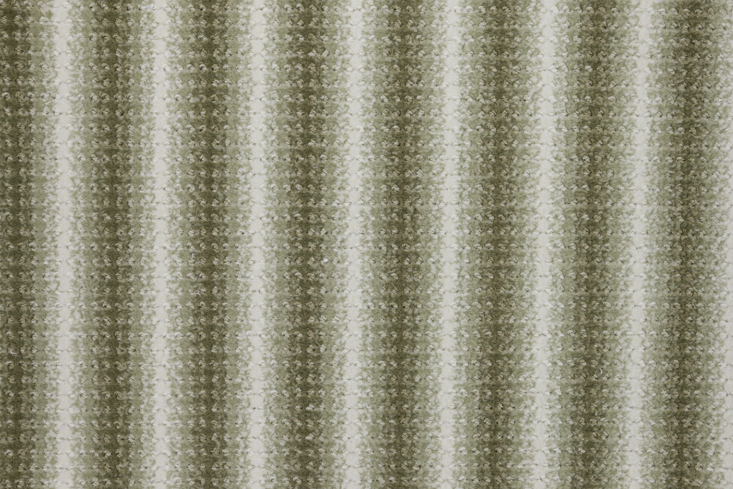 #color_7 Fern
