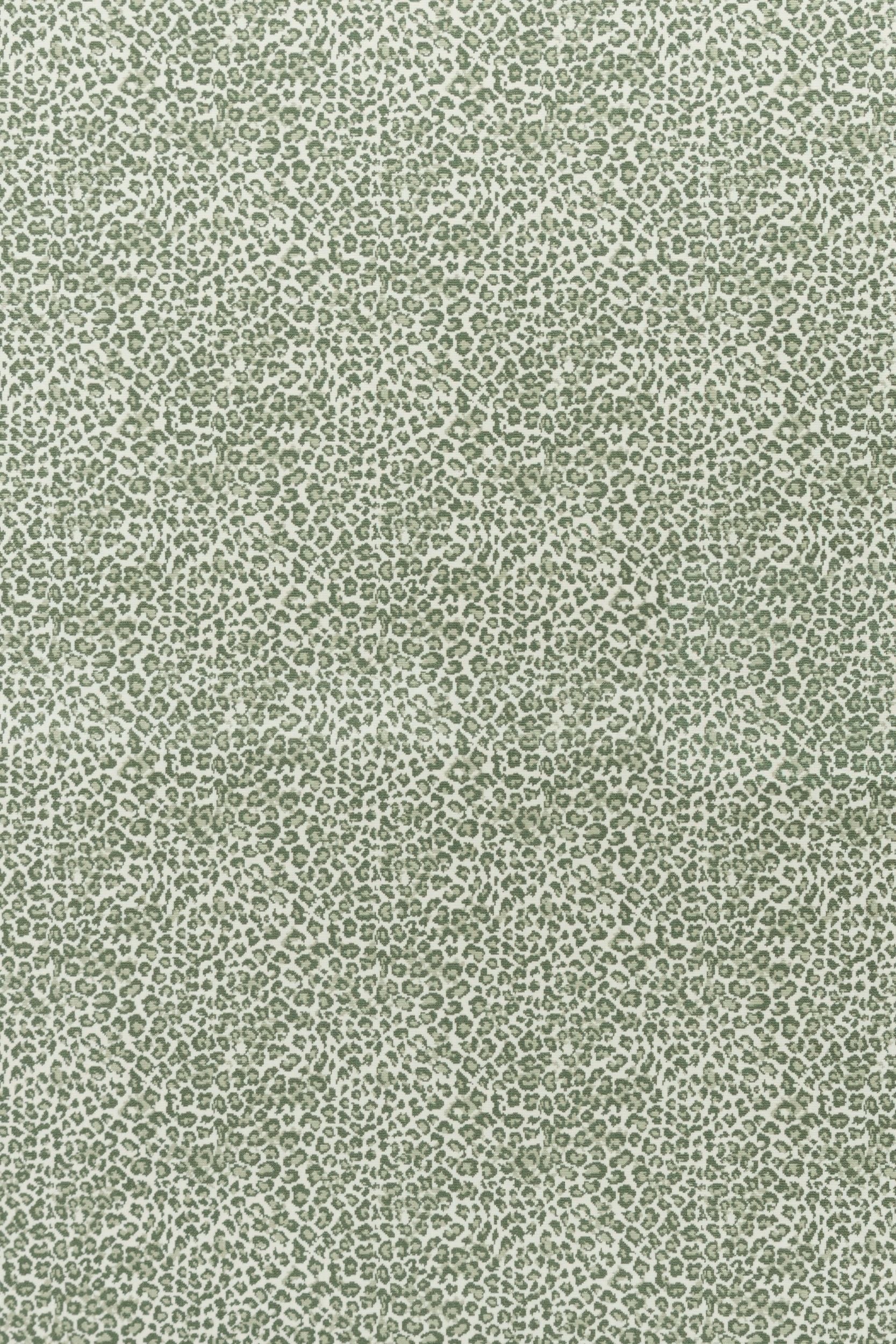 #color_61 Grass