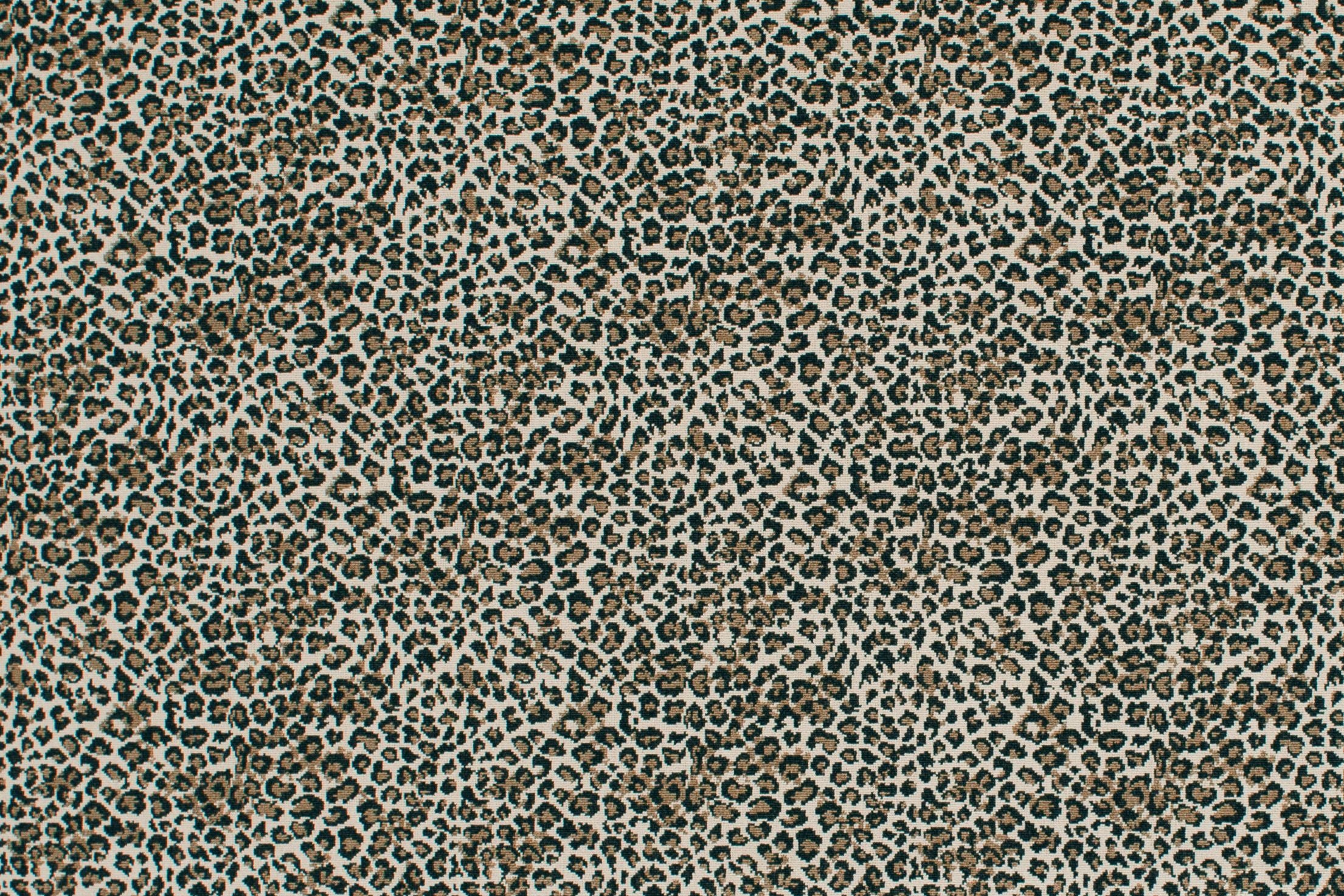 #color_37 Sahara