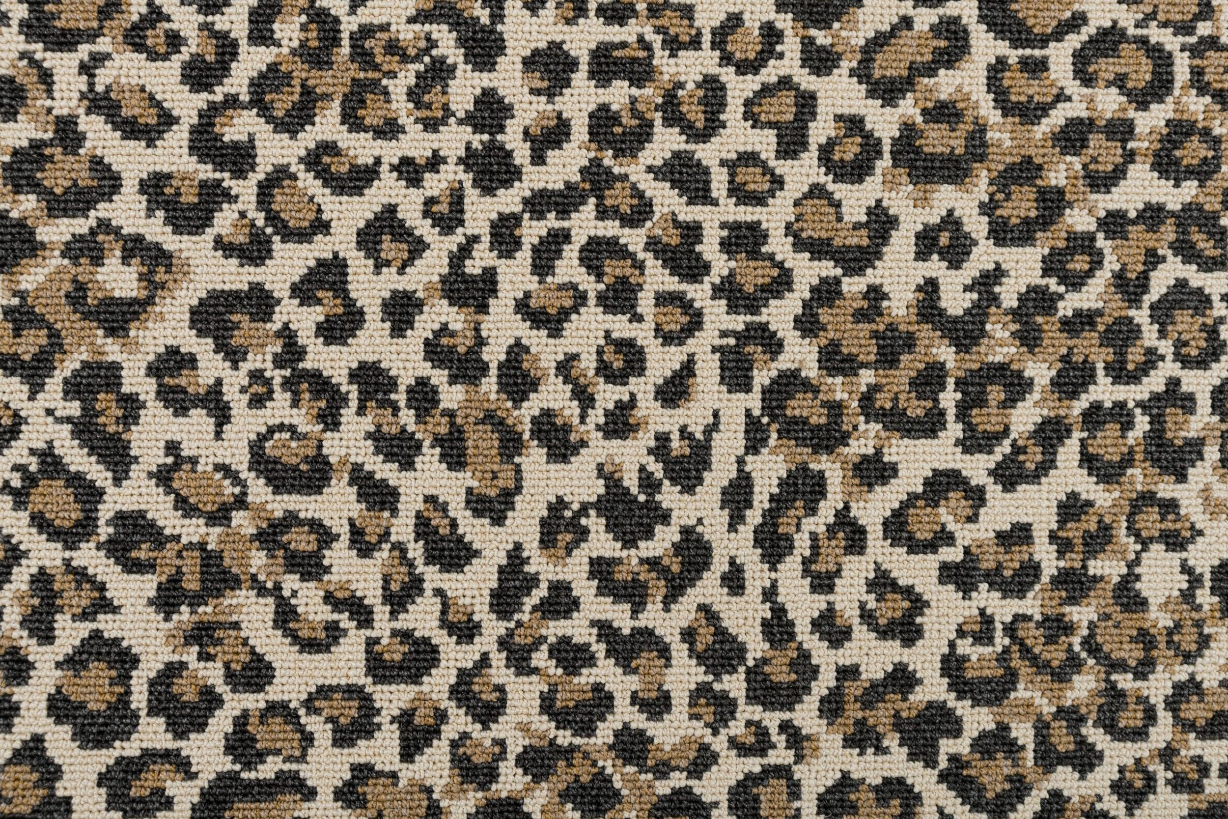 #color_37 Sahara