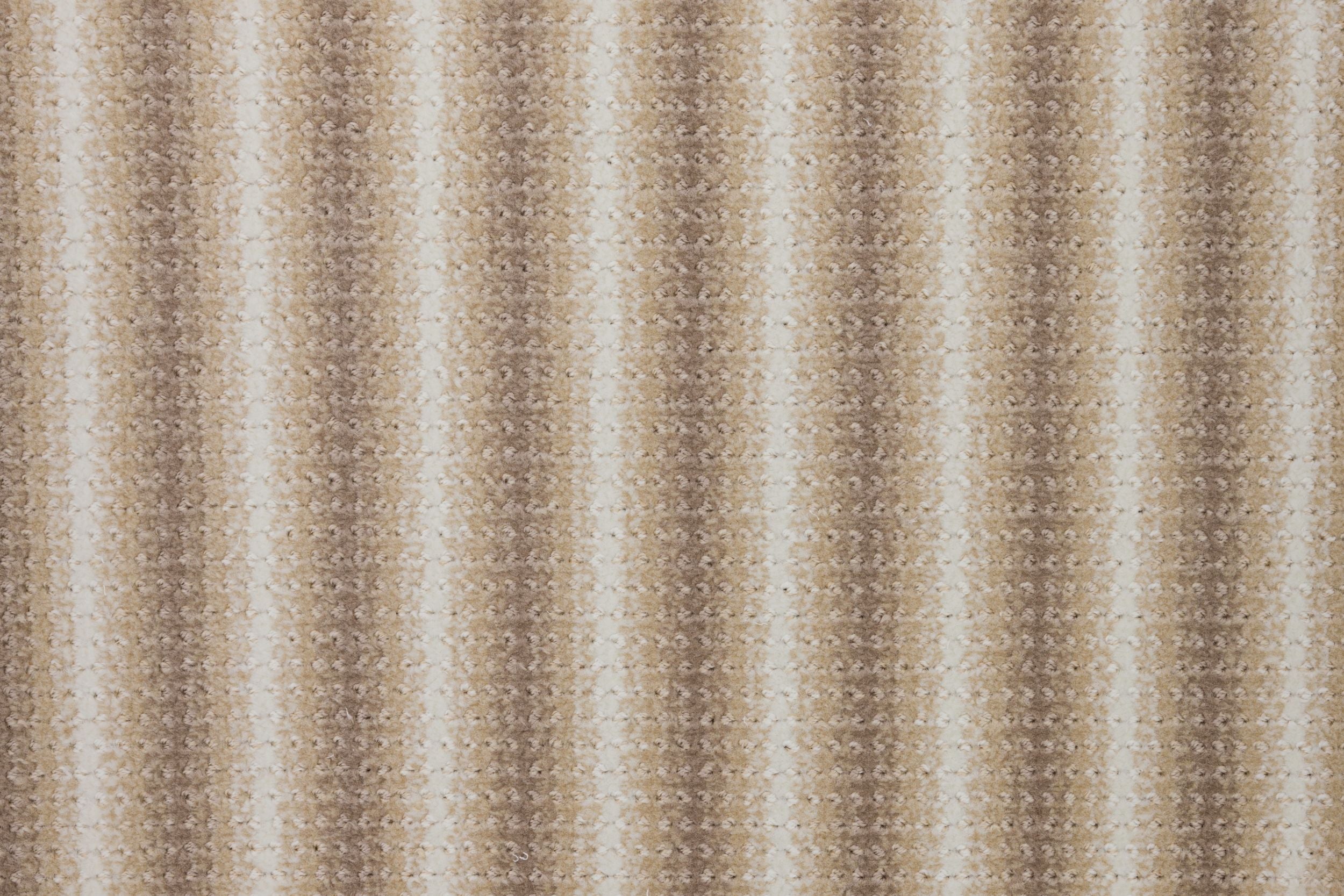 #color_9 Sahara