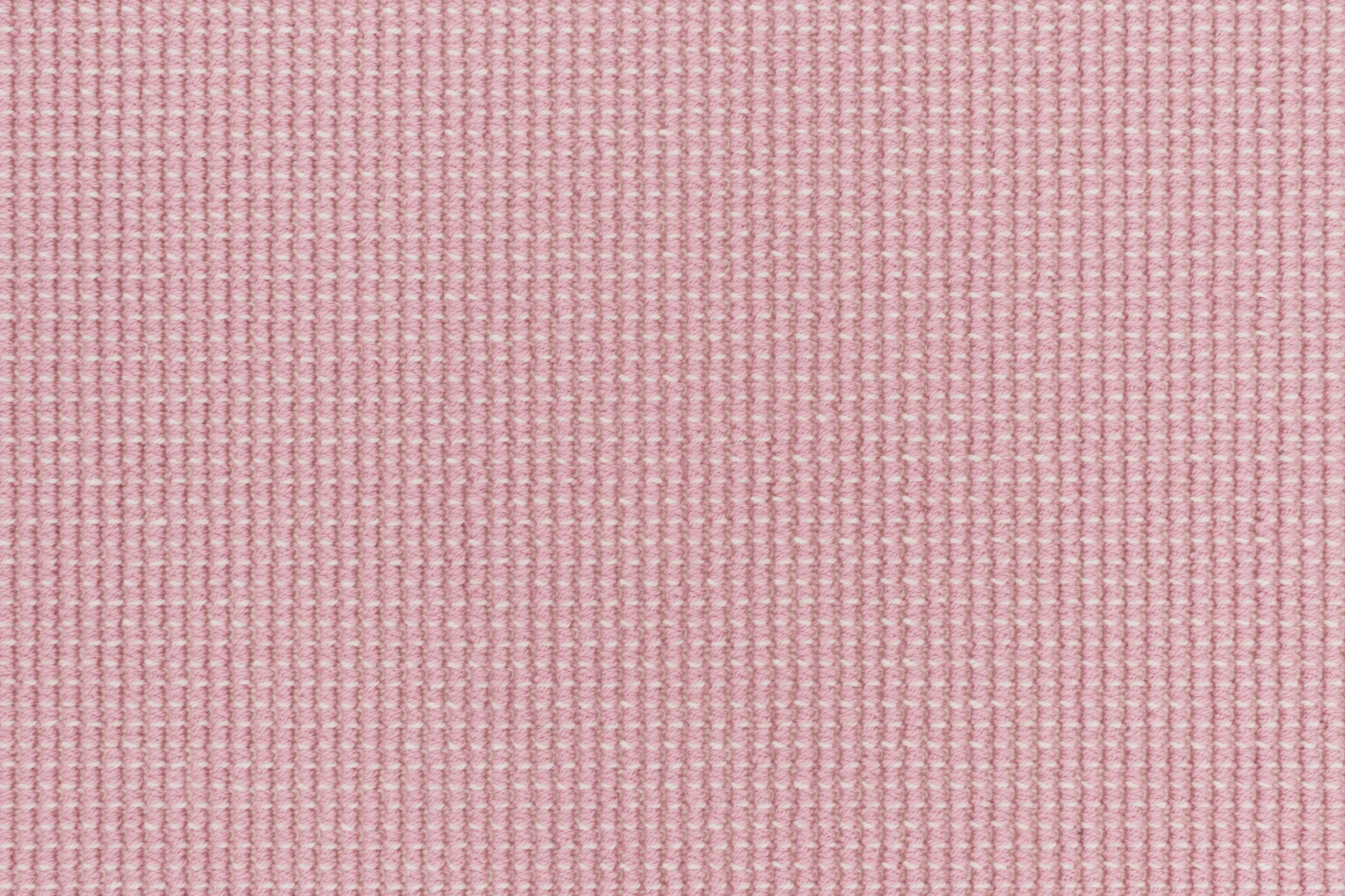 #color_92 Sherbert