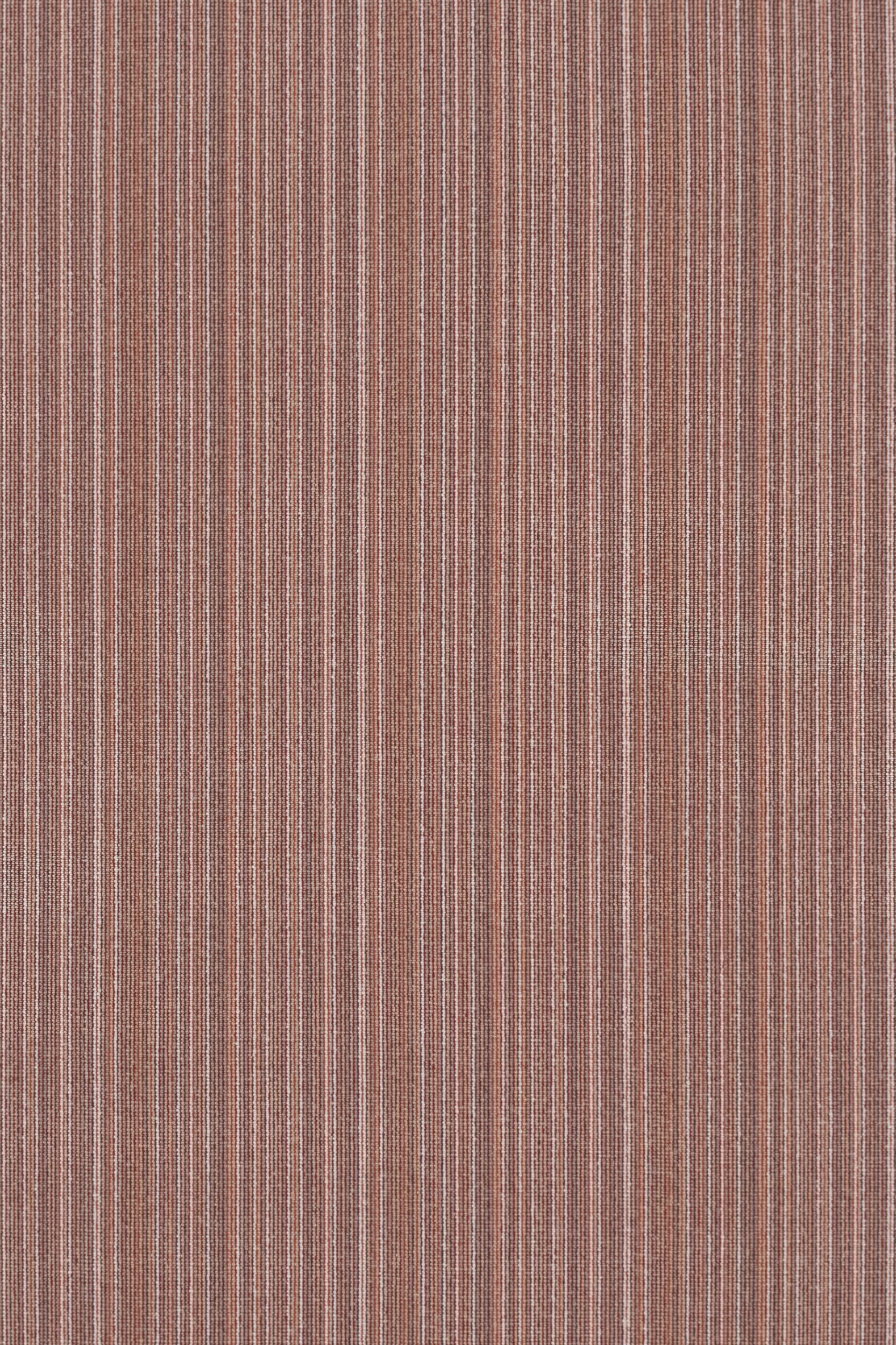 #color_66 Canyon