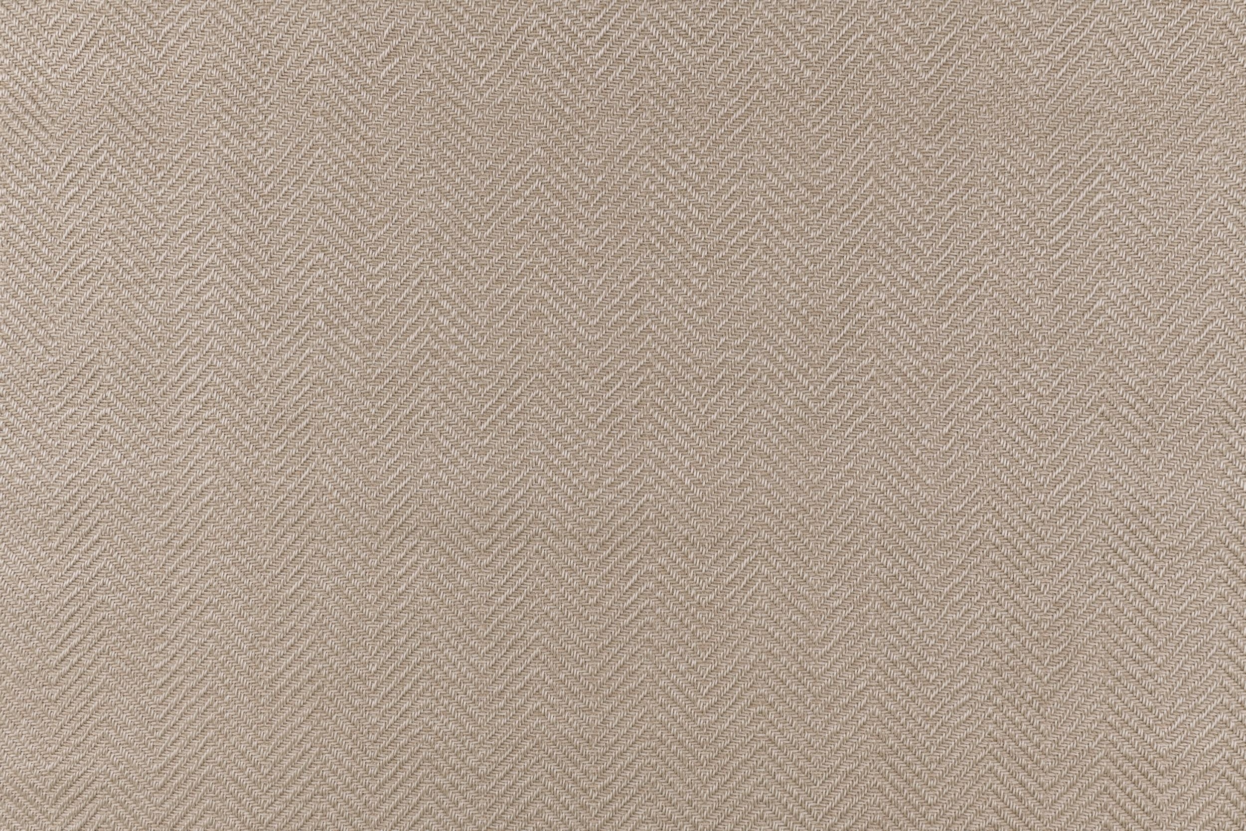 #color_5 Oyster