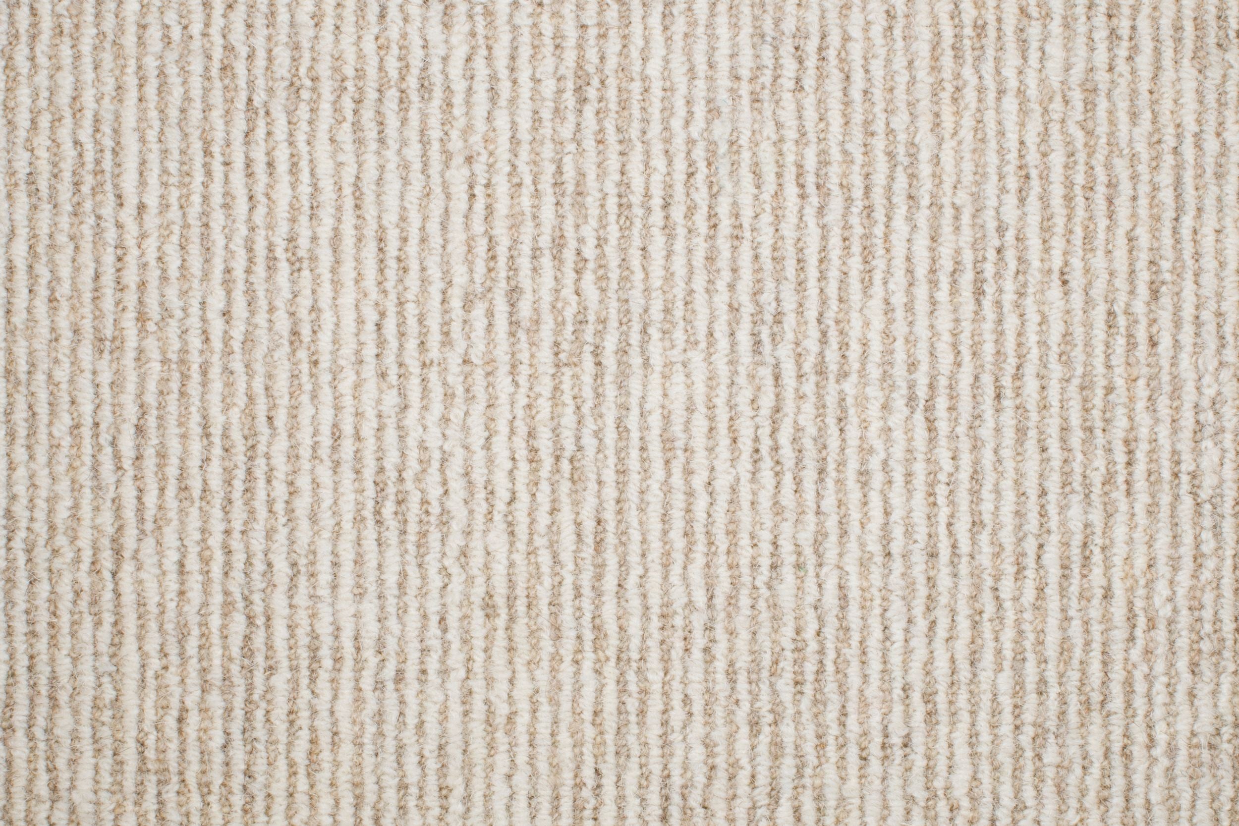 #color_974 Sand Dollar