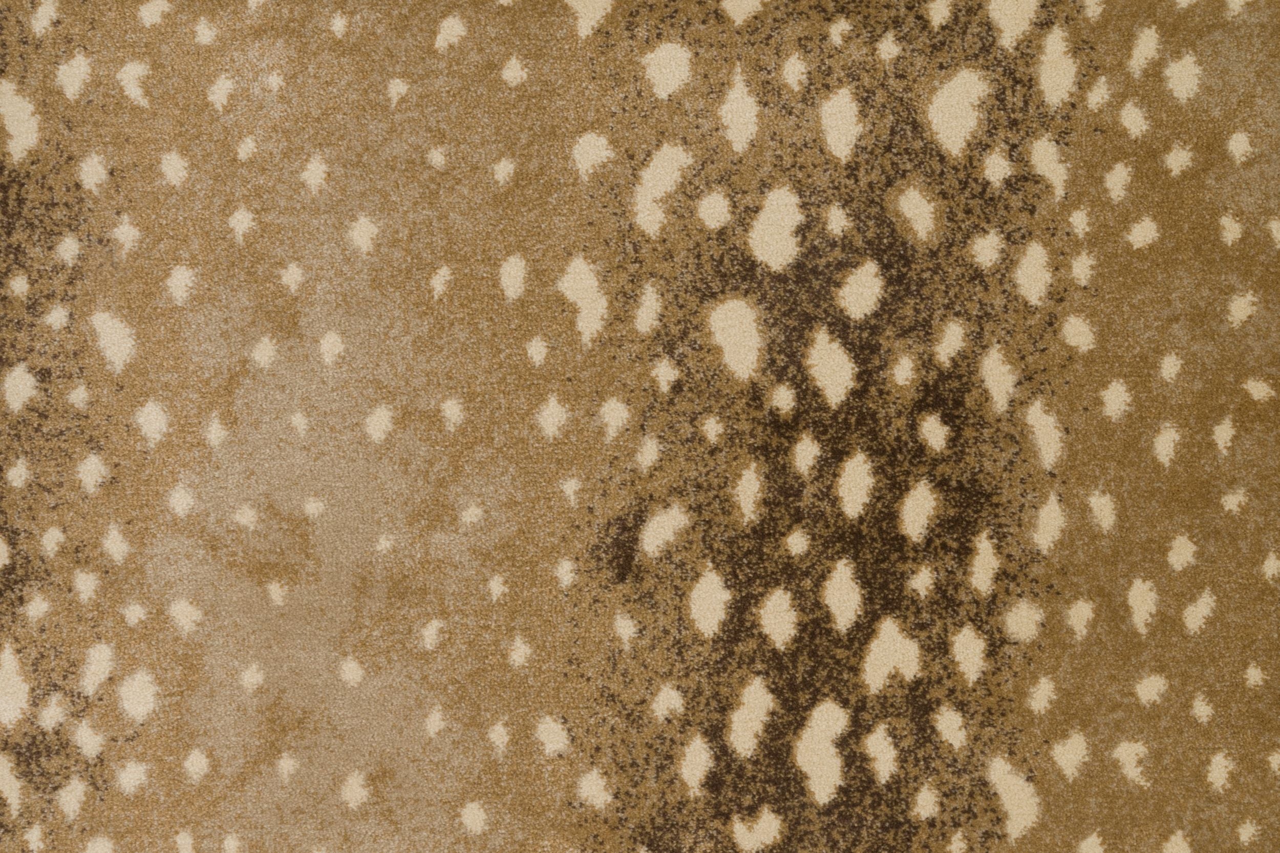 #color_073 Sand