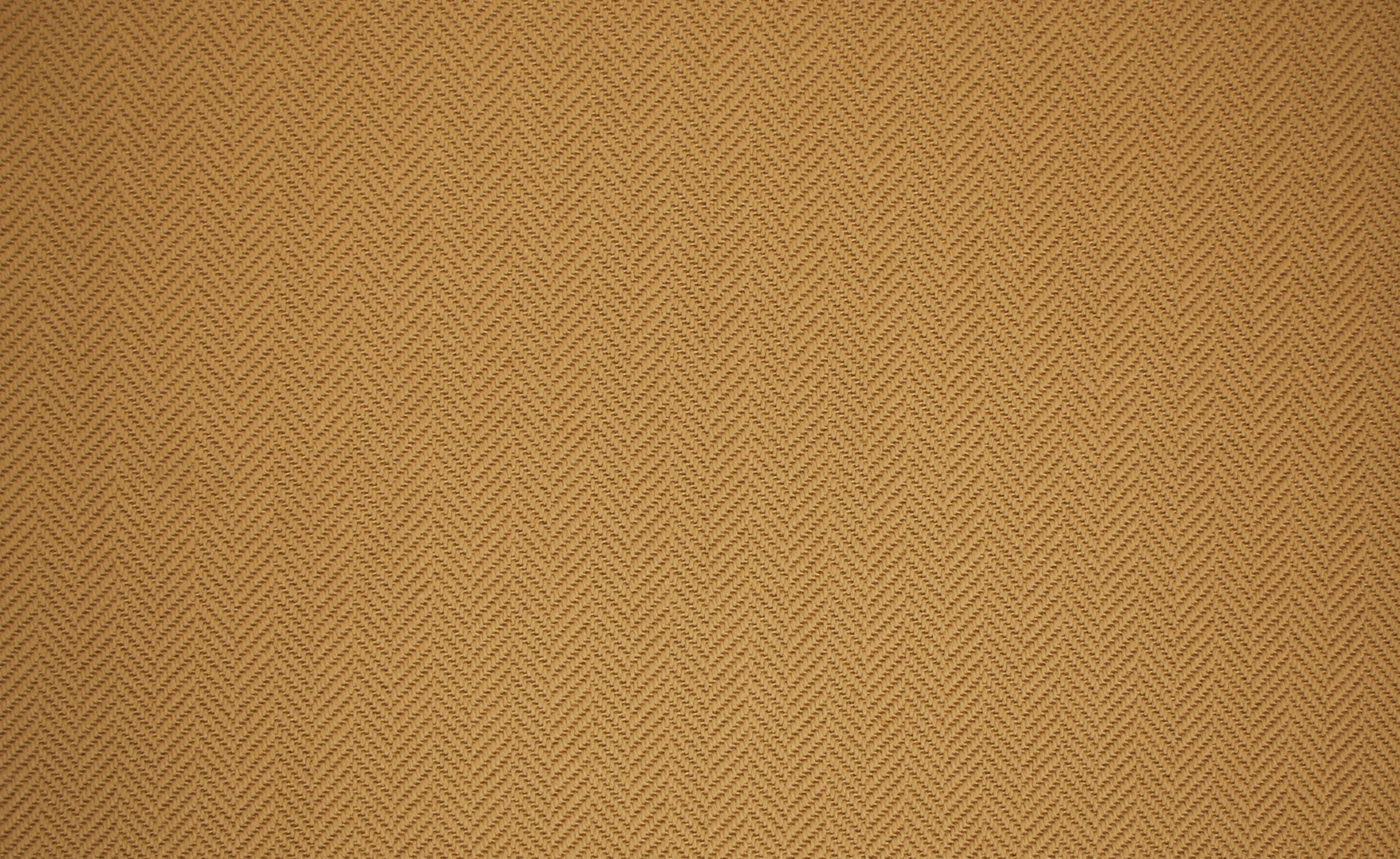 #color_2011 Seagrass
