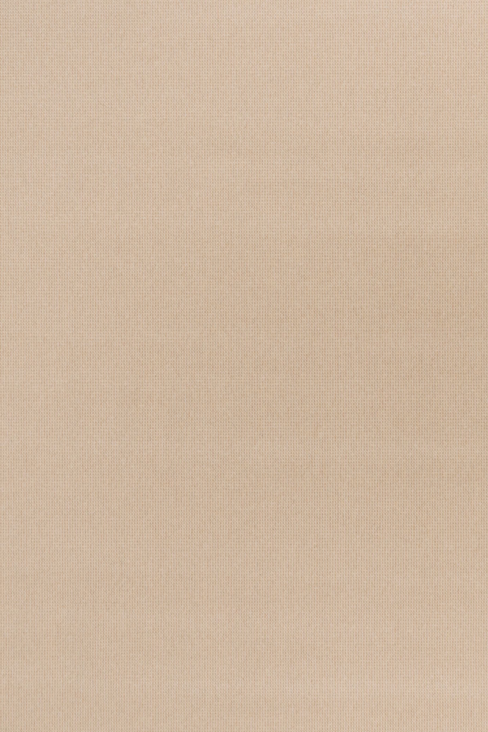 #color_1 Camel