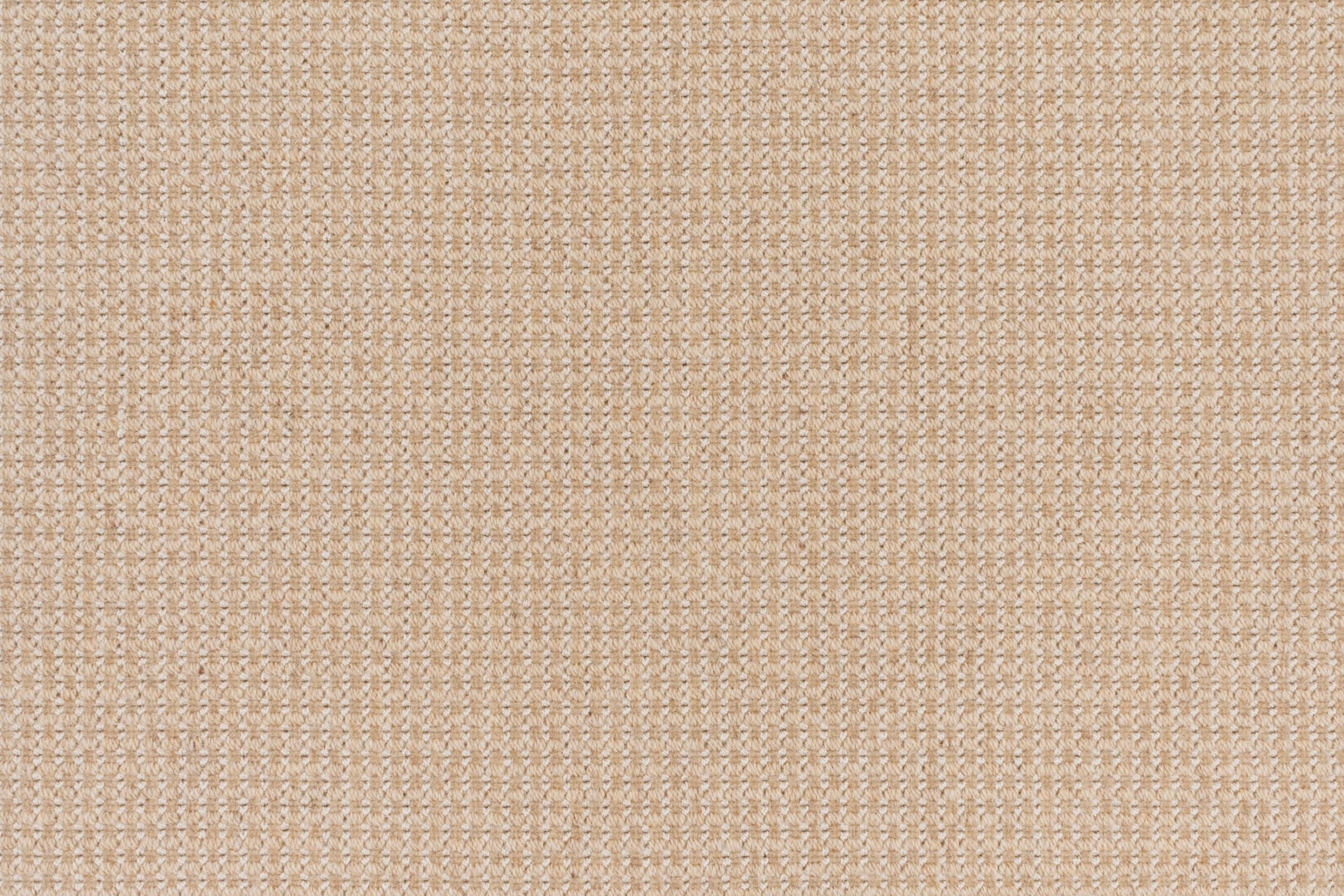 #color_1 Camel