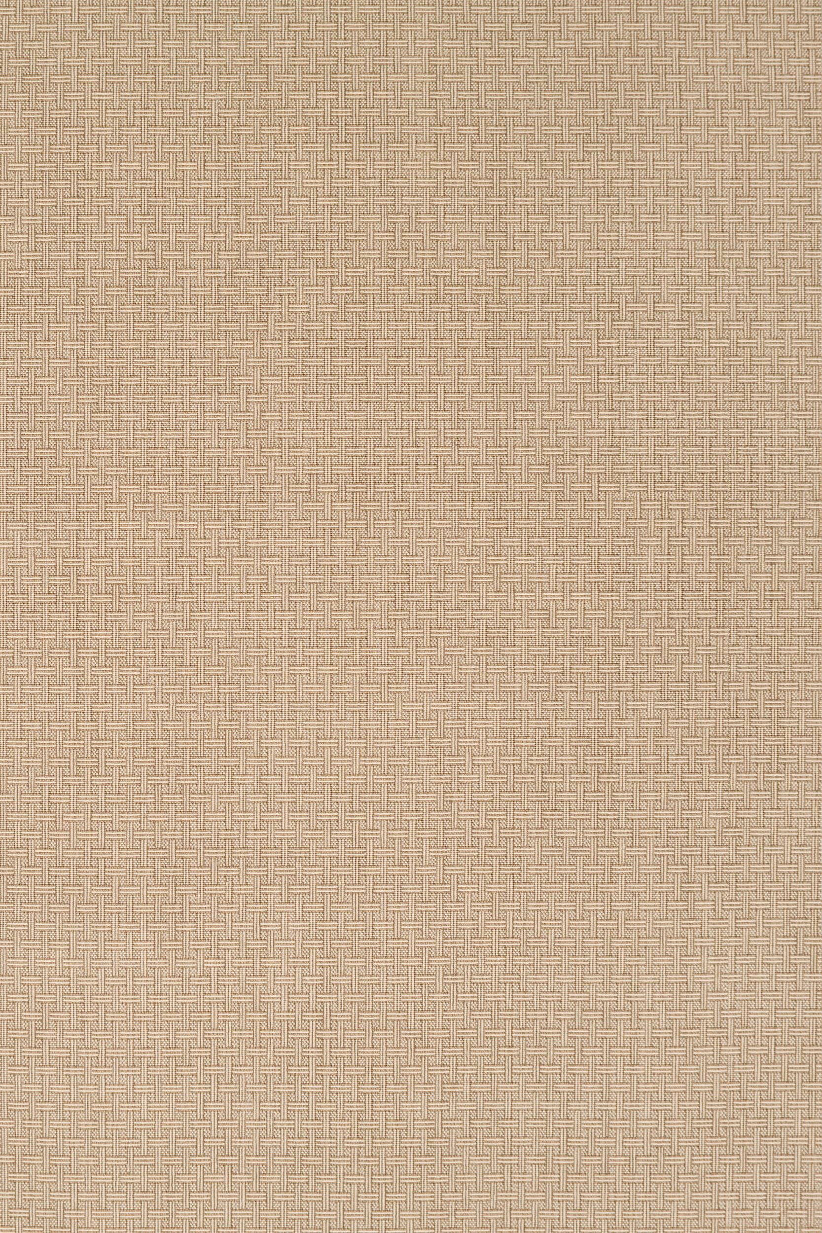 #color_17 Bisque
