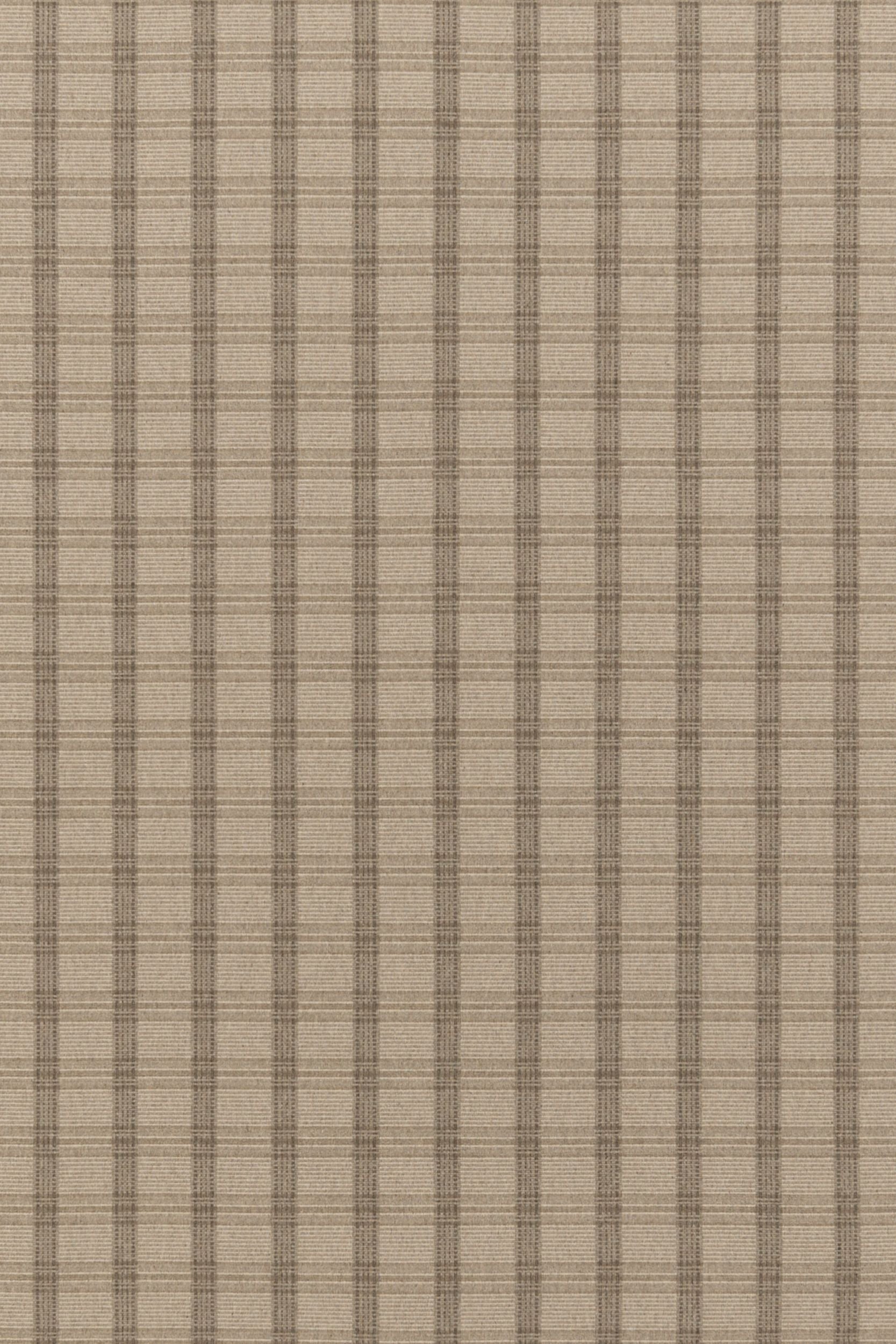 #color_32 Moccasin