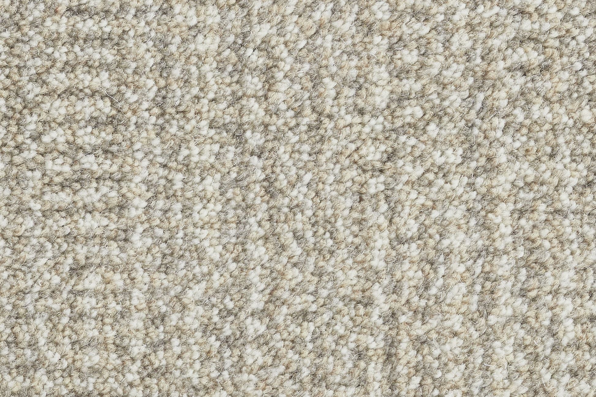#color_Fossil