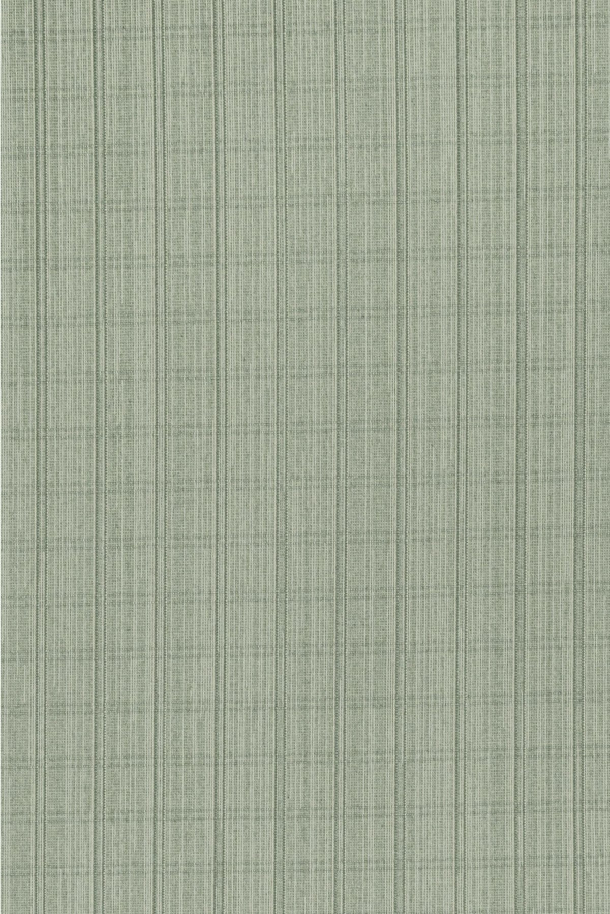 #color_Spring Green