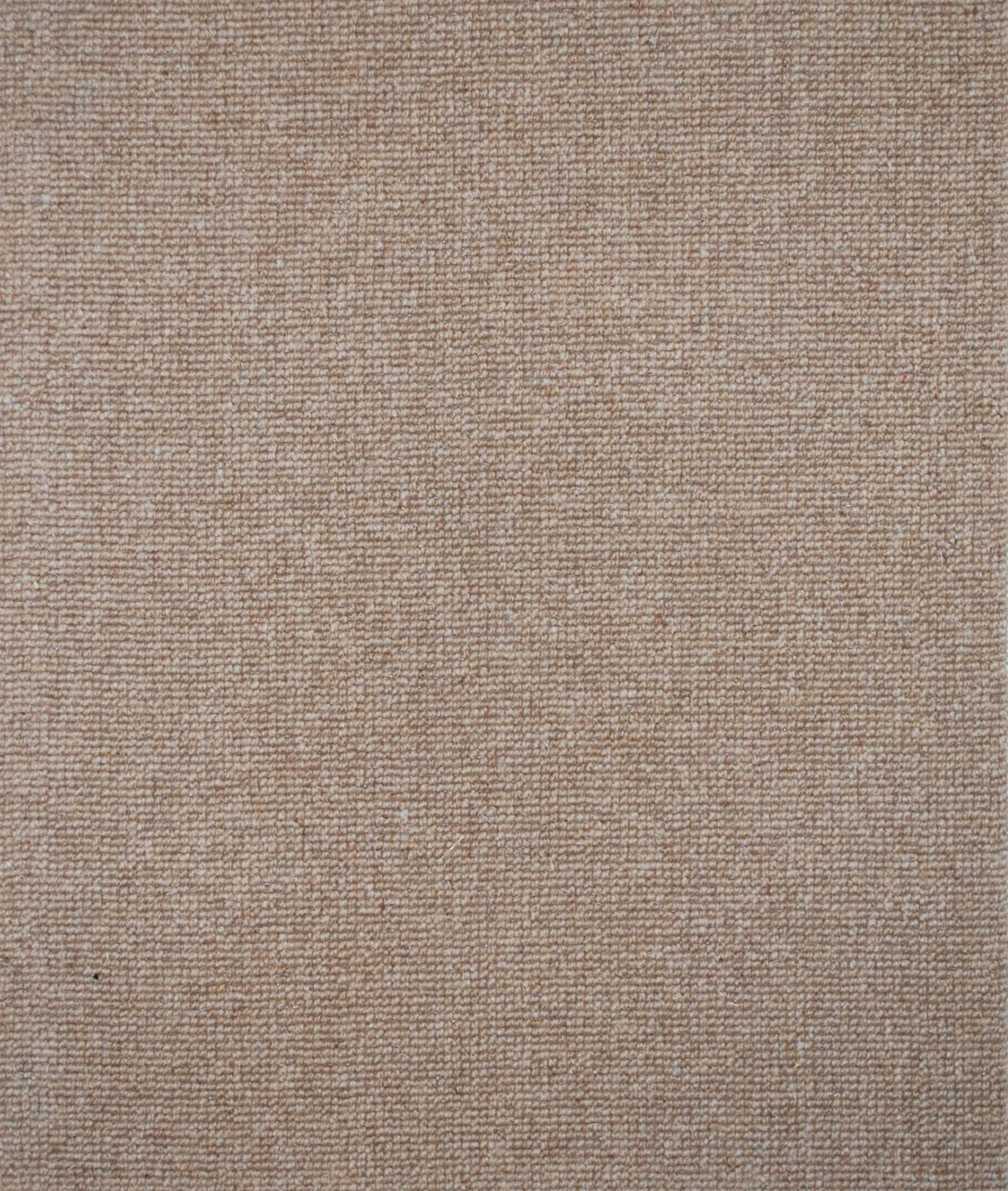#color_555/42 Biscuit