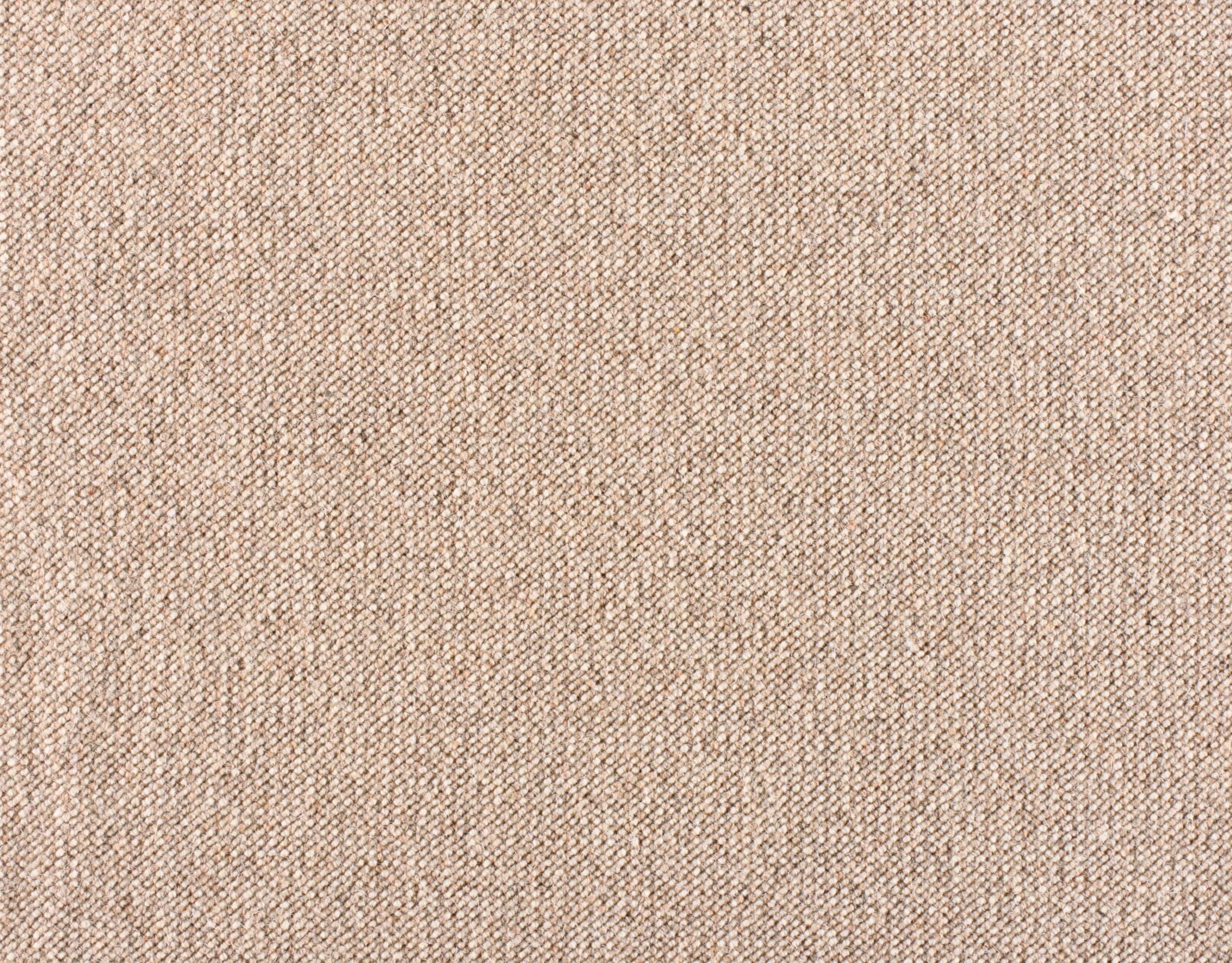 #color_122 Andean Quinoa