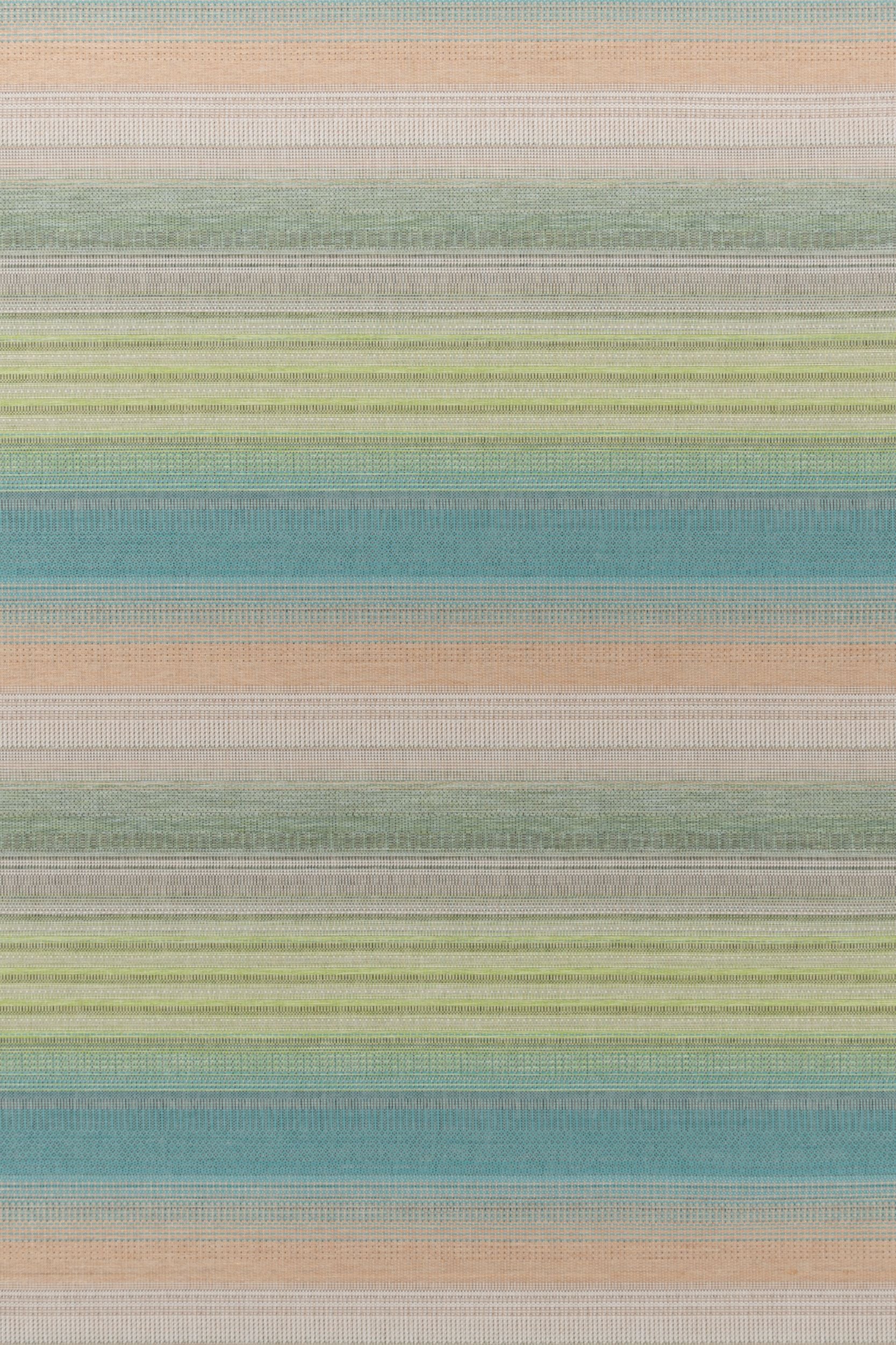 #color_31 Rainforest