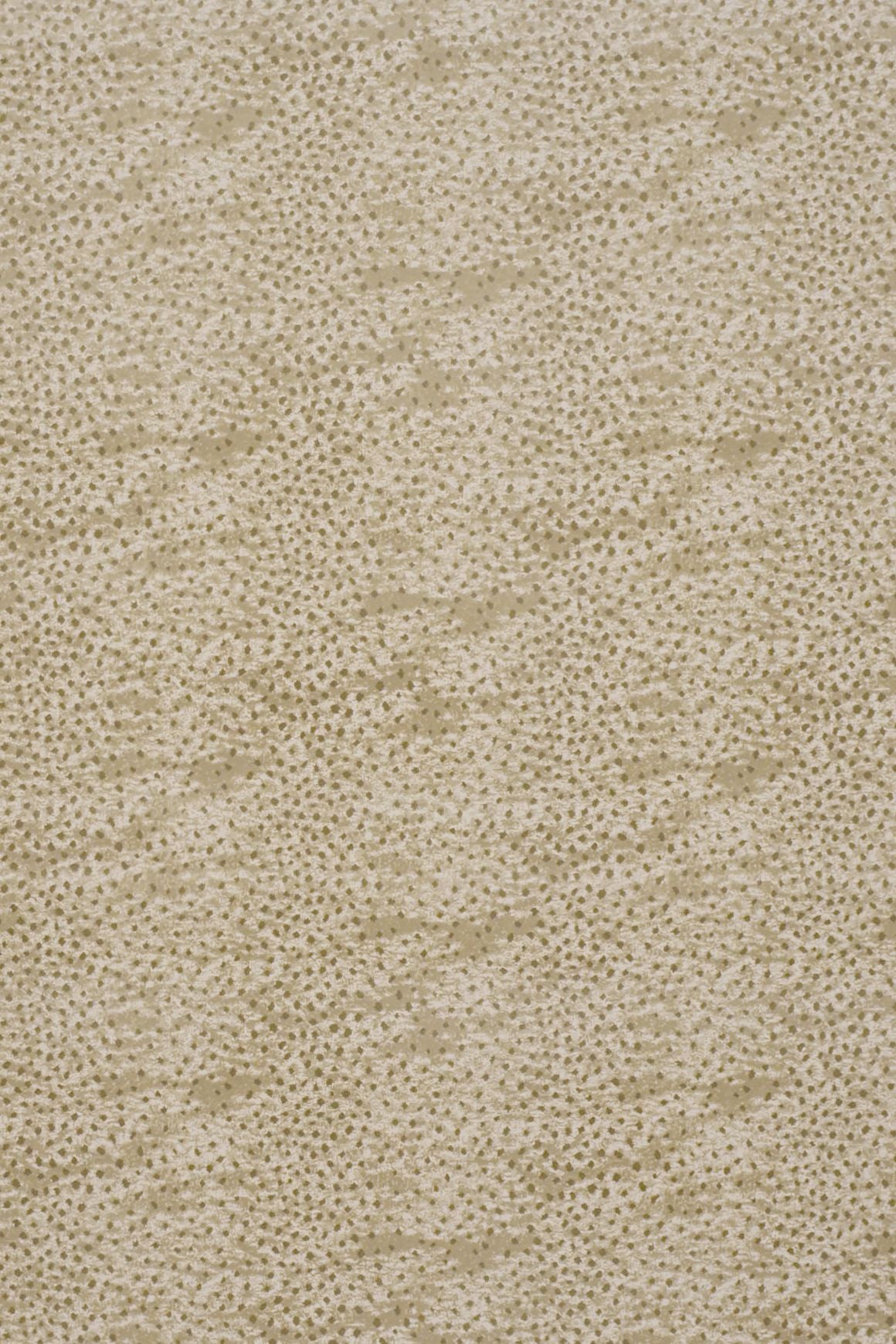 #color_23 Tawny