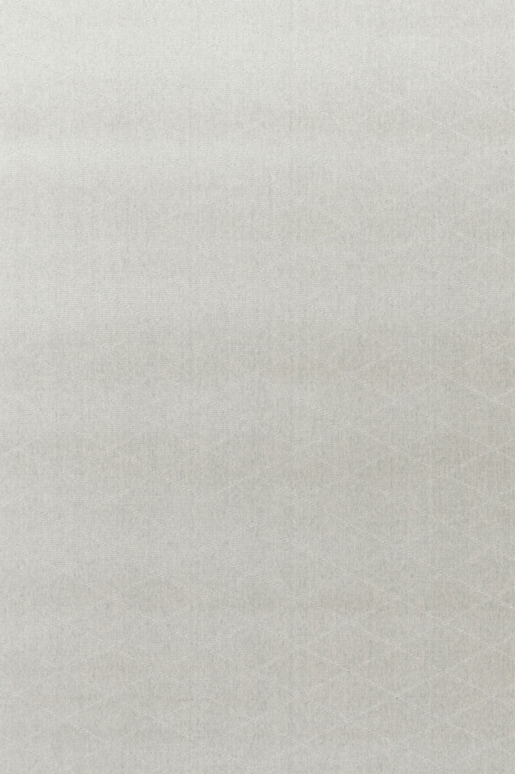 #color_55 Silver