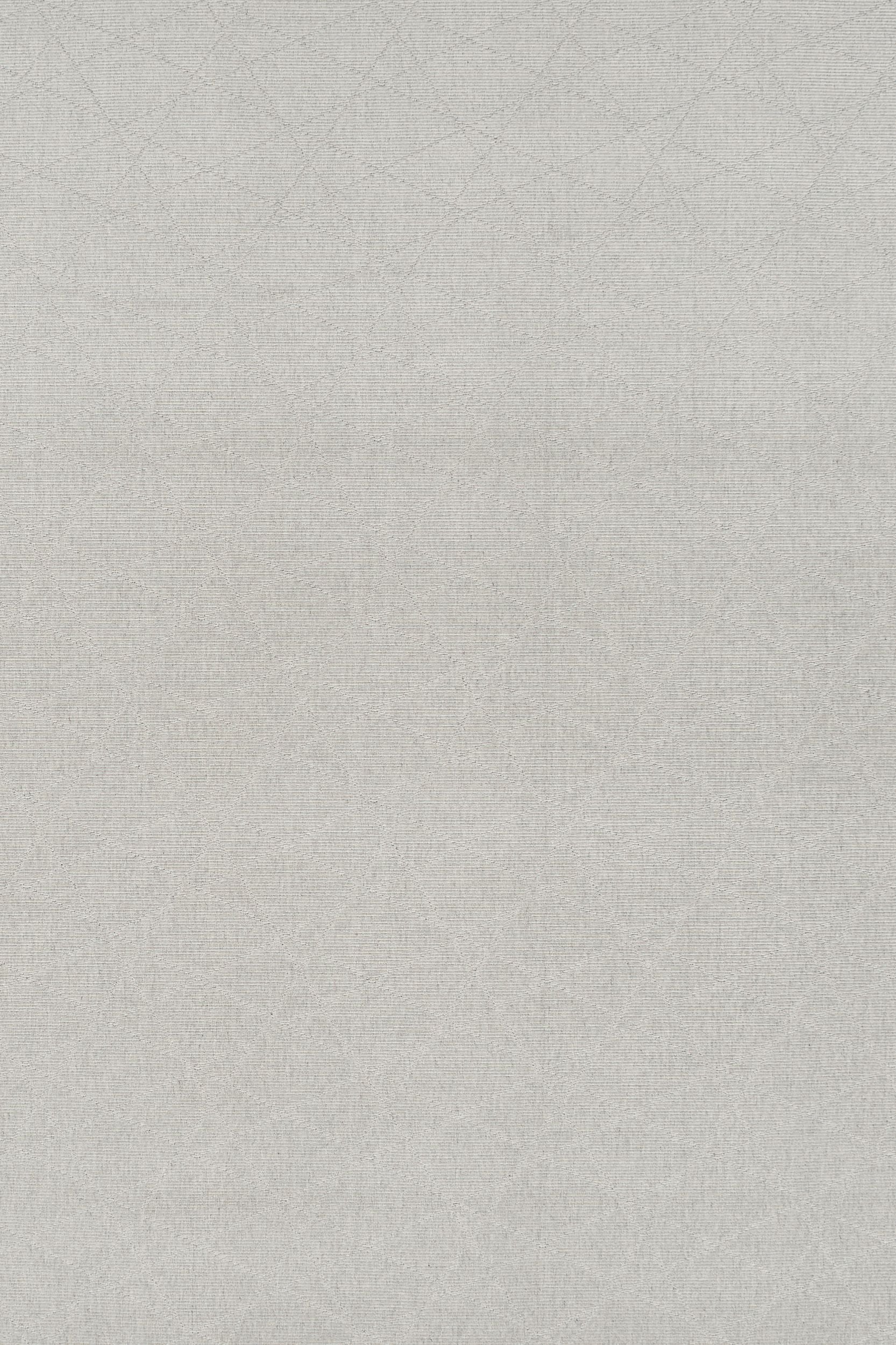 #color_55 Silver