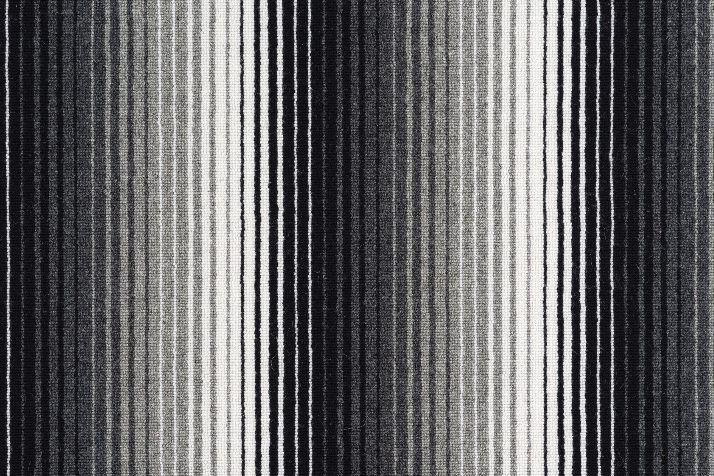 #color_9 Zebra